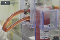 Your Preferred Fetal Bovine Serum Supplier Your Preferred Fetal Bovine Serum Supplier