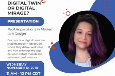 Digital twin or digital mirage Digital twin or digital mirage