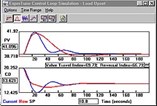 Performance Summary Software Performance Summary Software