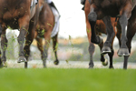 Subcutaneous Infliximab In The U.S.: Defining CT-P13 SC's Competitive Edge Horses