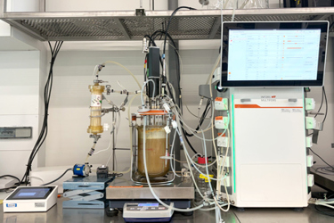 Perfusion Cultivations With NIST CHO Cells Using The Multifors 3 Bioreactor Perfusion Cultivations With NIST CHO Cells Using The Multifors 3 Bioreactor