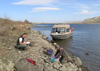 Pacific Northwest National Laboratory staff collect groundwater samples along the Columbia River shoreline using small diameter polyethylene tubing that is implanted into the cobbly sediment. Water samples are periodically withdrawn to monitor the characteristics of groundwater that discharges into the river through the riverbed.