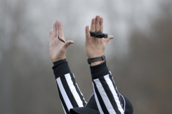 Referee touchdown-GettyImages-172627356