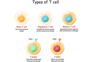 25 Years Of VST Therapies The Journey Behind The Technology And Innovation