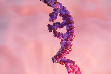 RNA abbreviation of ribonucleic acid-GettyImages-1453953422