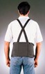 Dynaback Back Support Dynaback Back Support