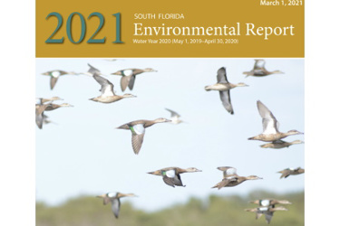 screen-shot-2021-02-26-at-5-34-14-pm_crop