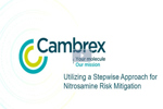 cambrex nitrosamine risk web snip