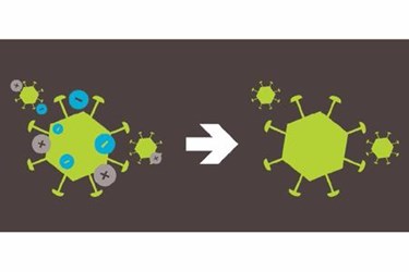 Purification Of Mammalian Virus In A Single Step