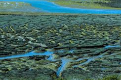 MorroBay_Getty-523885324