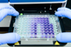 GettyImages-1368887558-assay-bioassay-well GettyImages-1368887558-assay-bioassay-well