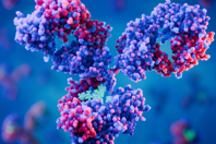 S10_Protein_mAbs