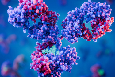 S10_Protein_mAbs