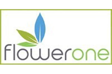flowerone flowerone