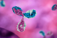 GettyImages-824641956-monoclonal-antibody-mab-pink-blue