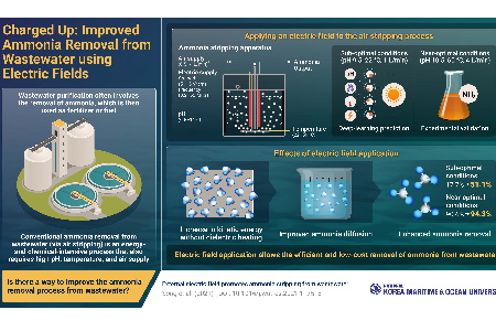 New Study Shows Electric Fields Can Improve The Efficiency Of ...