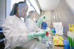 Young female scientist works at work bench in laboratory-GettyImages-899074182