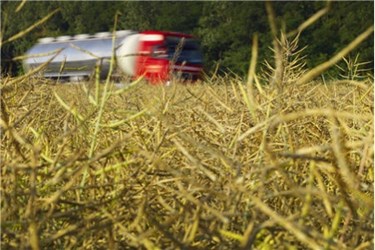 Helmholtz Centre for Environmental Research (UFZ) Helmholtz Centre for Environmental Research (UFZ)