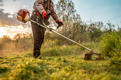 GettyImages-2211476025_garden tool