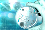 5 Characteristics Of Forward-Thinking Microbiology Labs In 2025 Microbiology laboratory test=GettyImages-849269856