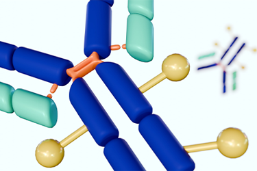 GettyImages-2240372856 antibody, glycan GettyImages-2240372856 antibody, glycan