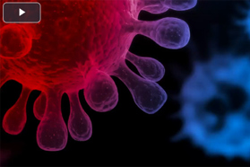 Unlocking The Benefits Of Customs Warehouse For Pharmaceutical Supply Chains