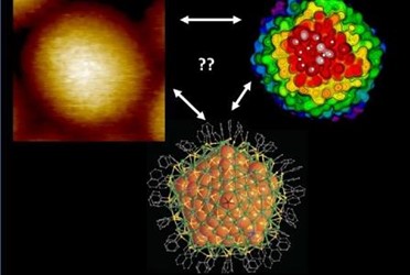 nanoparticlesurface nanoparticlesurface