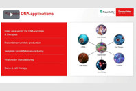 Optimization Of Anion Exchange Purification