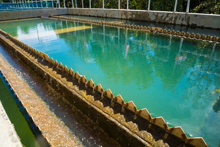 Microbial And Disinfection Byproducts Regulations: Paving The Way For Efficient Compliance -- https://www.wateronline.com/doc/microbial-and-disi...