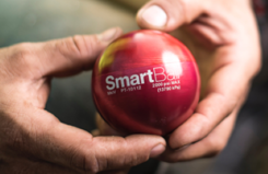 WOL_iowa-park-smartball_385x250