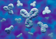 From R&D Tool To GMP Solution: Is Glycoengineering Ready For Your Plant? getty- 1299289706 -immunoglobulin-proteins