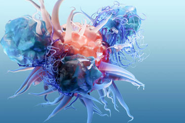 body immune response viral infection, Cancer Immunotherapy-GettyImages-2172360428