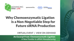 Why Chemoenzymatic Ligation is a Non-Negotiable Step for Future siRNA Production