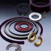 SpeedSeal® Program SpeedSeal® Program