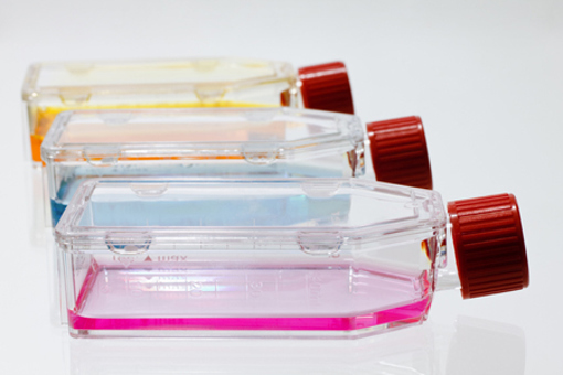 Culture Flasks-GettyImages-157628194
