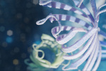 GettyImages-2182383111_protein ribbons