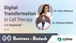 24_01_BoB_1280x720_Ep43