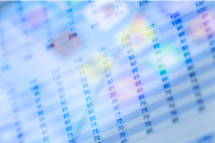 GettyImages-527547688 spreadsheet