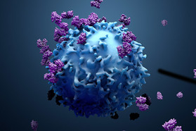 proteins with lymphocytes , t cells or cancer cells GettyImages-1138937146