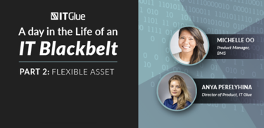 A Day In The Life Of An IT Black Belt Part 2: Flexible Assets