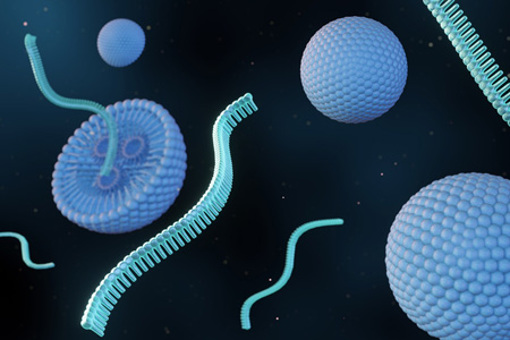 RNA strands, SiRNA, mRNA, CRISPR delivery-GettyImages-2151198841