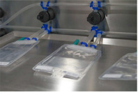 Protecting Single-Use Bags To Foster Their Progress SUS 1