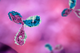 Introduction To Antibody Libraries For Display-Based Antibody Discovery GettyImages-824641956 monoclonal antibody