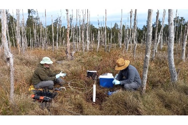 feature-image feature-image