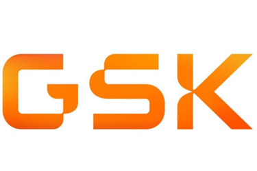 GSK GSK