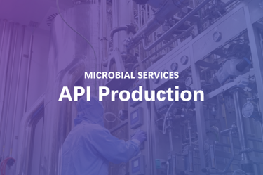 Screenshot 2026-04-06 075658