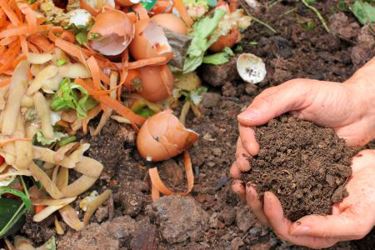 thumbnail_compost_Getty-479440915