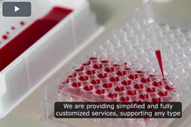 Lipids Center Of Excellence