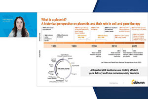 photoEnhancing Gene Editing Outcomes and Safety for Clinical Translation with Next Generation Vectors