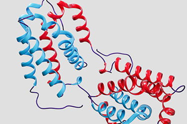 Bio-techne Maurice Proteins